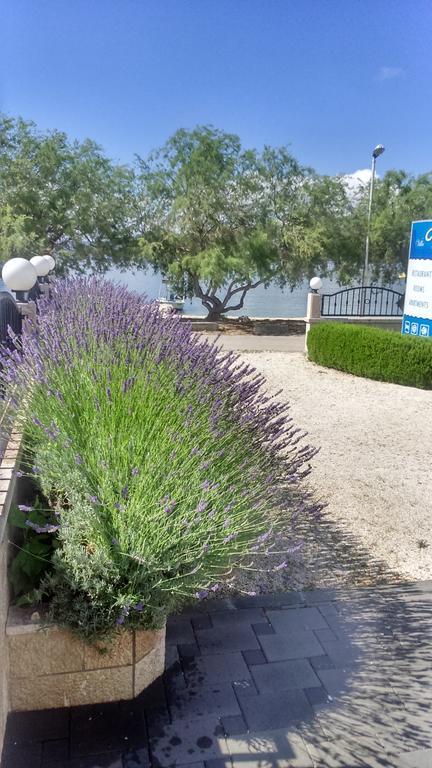 Villa Mediterana Seget Vranjica Dış mekan fotoğraf